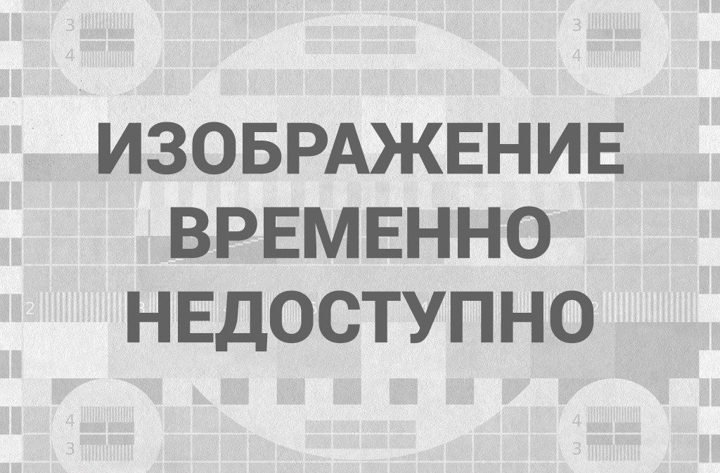 Кто сказал "Мяу"?
