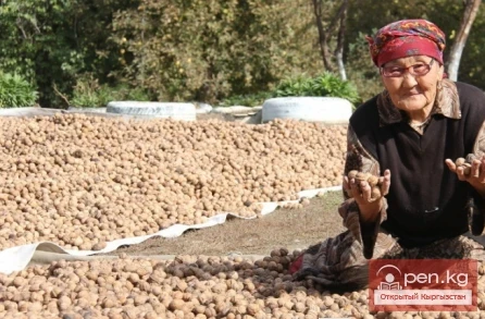 Дашманский государственный природный заповедник