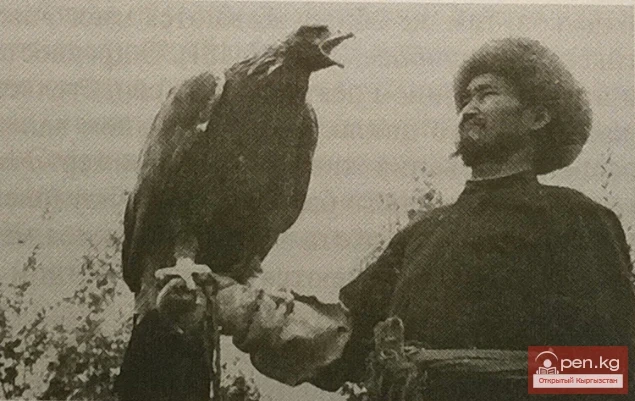 Мастер Бейшеналы с беркутом. Колхоз им. Фрунзе, Бейшекенский сельсовет, Кировский р-н, Таласская обл. 1954 г.