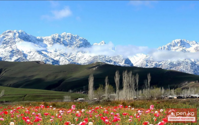 Сезонная жизнь живой природы Кыргызстана. Весна